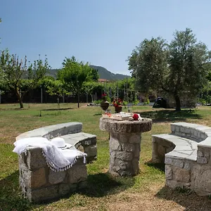 Tsitreli Sykia Chalkidikis
